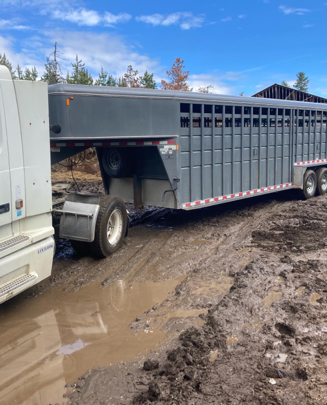 Livestock trailer